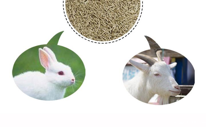 兔羊饲料颗粒 兔羊饲料颗粒