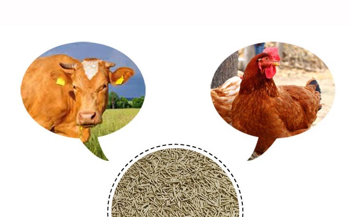 牛鸡饲料颗粒 牛鸡饲料颗粒