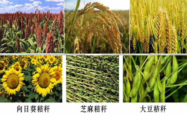 农作物秸秆图 农作物秸秆图