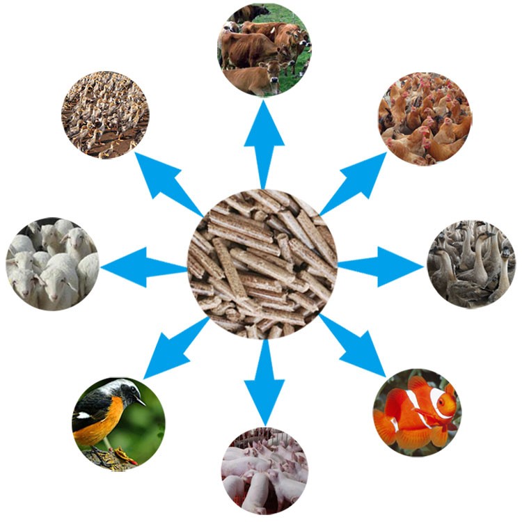 颗粒饲料适用范围 颗粒饲料适用范围