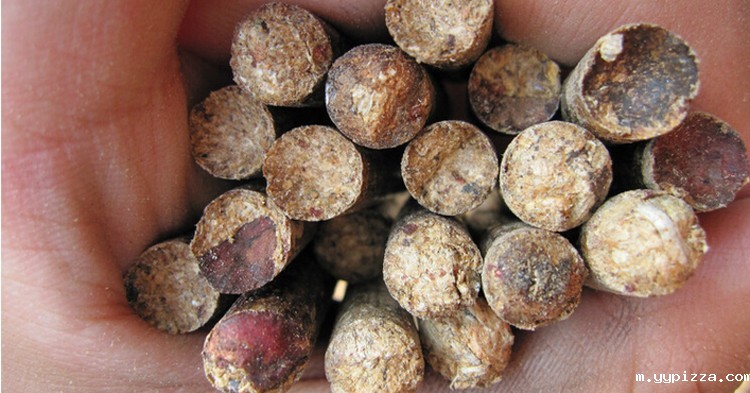 成型颗粒实拍图 成型颗粒实拍图