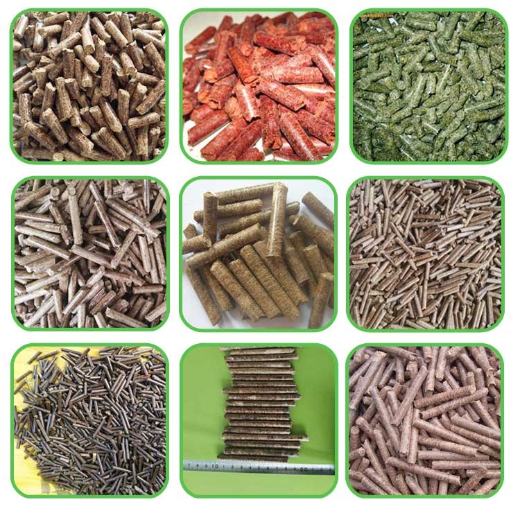 生物质颗粒机生产的颗粒 生物质颗粒机生产的颗粒