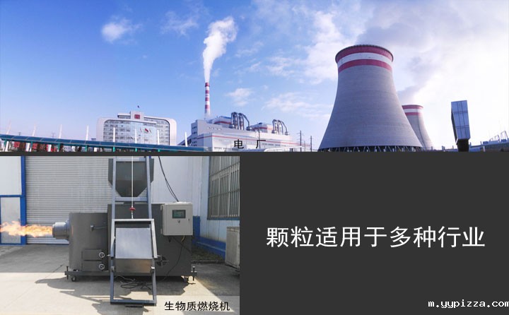 生物质颗粒应用 生物质颗粒应用