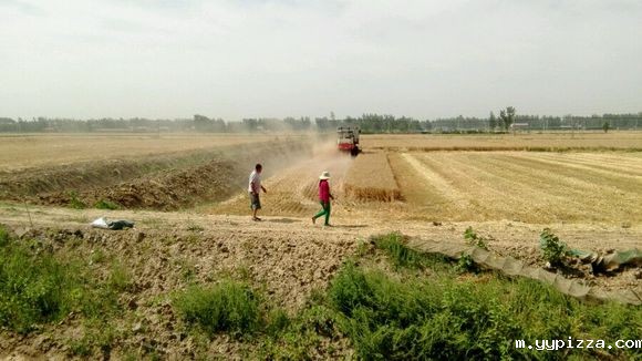 秸秆颗粒机助力秸秆禁烧 秸秆颗粒机助力秸秆禁烧