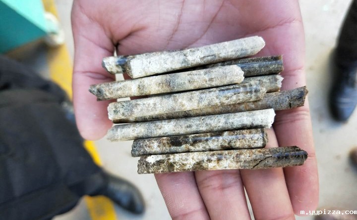 木屑颗粒机压制出的含水率是0的颗粒.jpg 木屑颗粒机压制出的含水率是0的颗粒.jpg