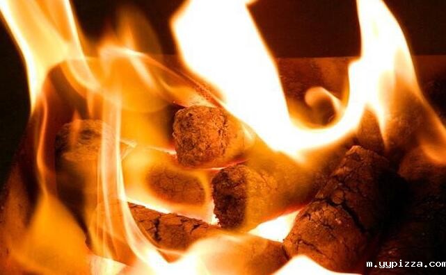 生物质成型颗粒燃料的燃烧特点 生物质成型颗粒燃料的燃烧特点