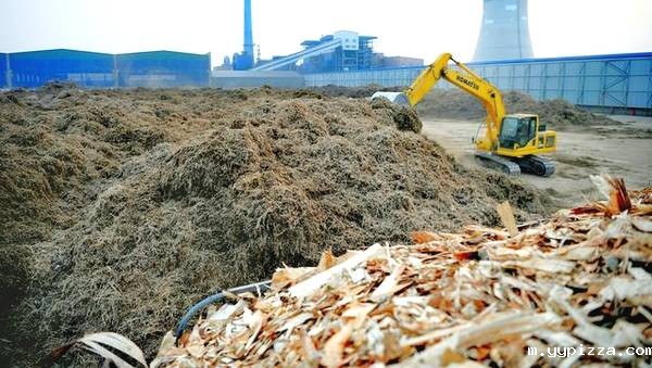 大城县生物质发电公司料场正在垛料操作 大城县生物质发电公司料场正在垛料操作