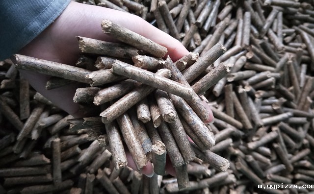 锯末颗粒机的木屑颗粒 锯末颗粒机的木屑颗粒