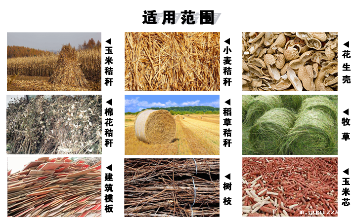 木屑颗粒机燃料的原料 木屑颗粒机燃料的原料