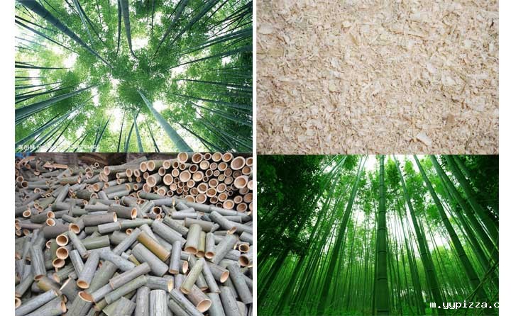 竹屑.jpg