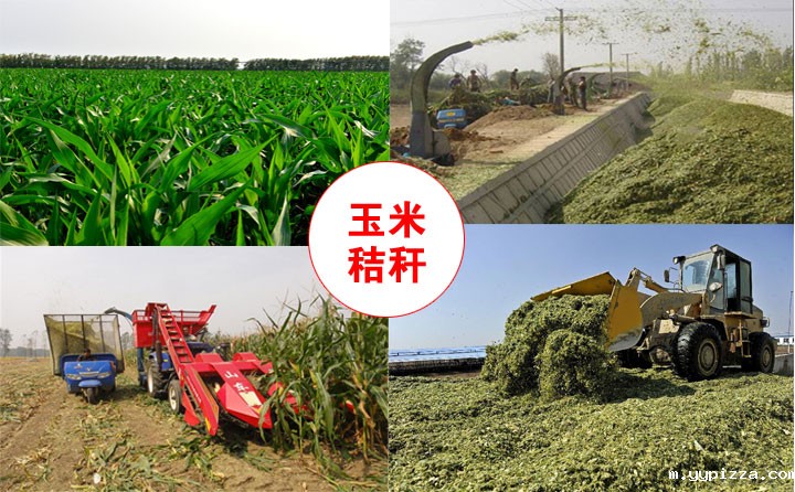 秸秆颗粒机原材料