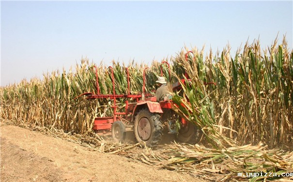 生物质颗粒机设备成型燃料研究现状及进展