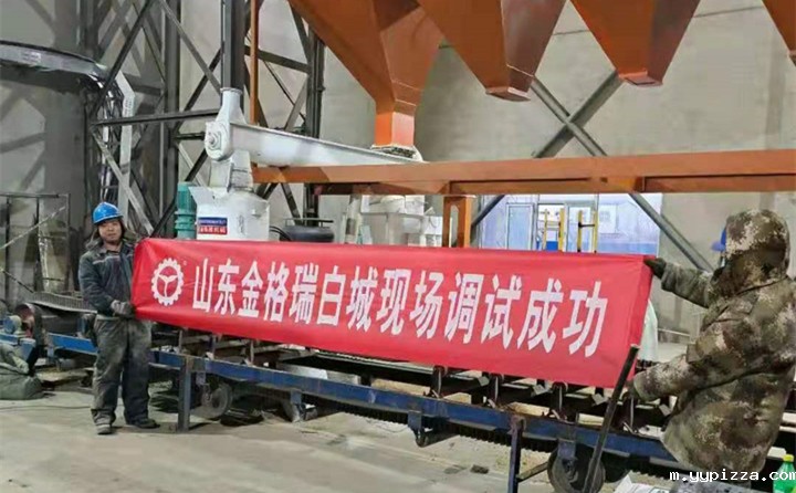 白城锯末颗粒机调试成功