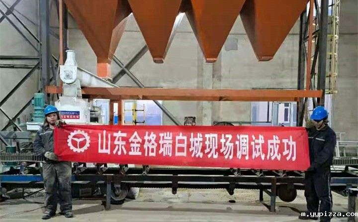 白城锯末颗粒机调试成功