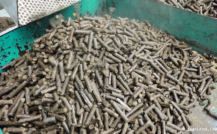 锯末颗粒机颗粒 锯末颗粒机颗粒