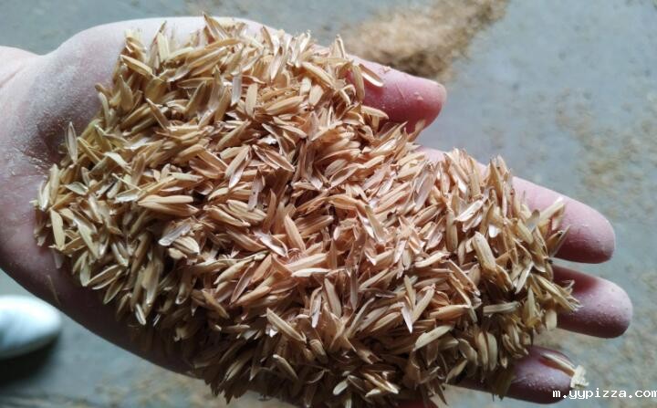 稻壳颗粒机原料稻壳 稻壳颗粒机原料稻壳