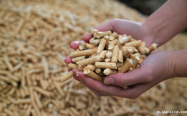生物质颗粒燃料 生物质颗粒燃料