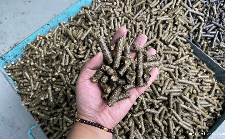 锯末颗粒机的生物质颗粒燃料 锯末颗粒机的生物质颗粒燃料
