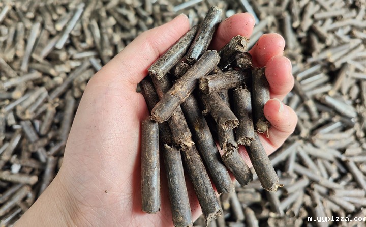 生物质颗粒燃料 生物质颗粒燃料