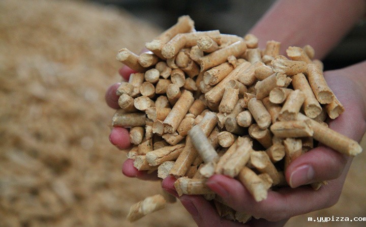 锯末颗粒机生产线加工的锯末颗粒 锯末颗粒机生产线加工的锯末颗粒