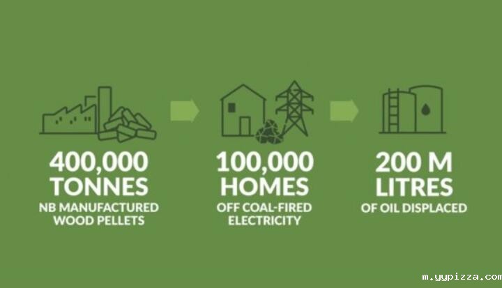 全球48%的木屑颗粒消费来自住宅和商业建筑。从2020年到2021年,欧洲家庭生物质消费量增长了18%,商业应用增长了12.5%。 全球48%的木屑颗粒消费来自住宅和商业建筑。从2020年到2021年,欧洲家庭生物质消费量增长了18%,商业应用增长了12.5%。