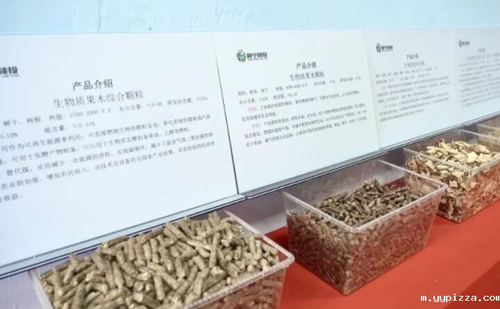 甘肃省静宁县仁大镇生物质废弃物综合利用项目建成投产 甘肃省静宁县仁大镇生物质废弃物综合利用项目建成投产