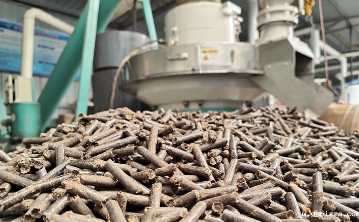 山东省临沂市兰陵县卞庄街道:生物质成型燃料生产项目为循环农业发展注入新活力 山东省临沂市兰陵县卞庄街道:生物质成型燃料生产项目为循环农业发展注入新活力