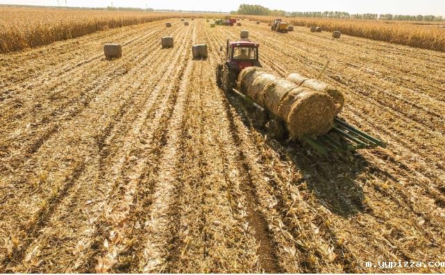 木屑颗粒机：推动乡村发展的新引擎