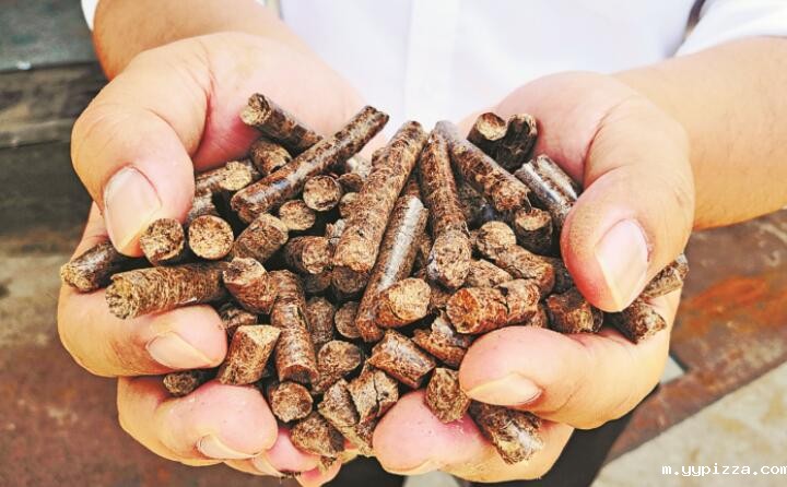 木屑颗粒机生物质颗粒 木屑颗粒机生物质颗粒