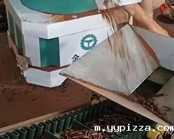 福建年产5000吨稻壳颗粒机生产线设备调试完成