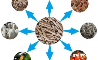 小型饲料颗粒机水产行业发展迅猛