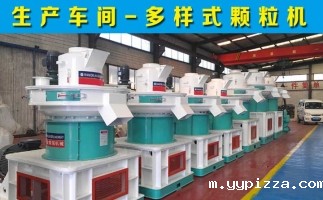 河南生物质颗粒机械操作流程及注意事项