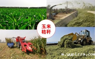 推广秸秆颗粒机有效应对农作物秸秆处置问题