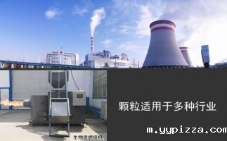 木屑颗粒机促进可再生固体能源发展