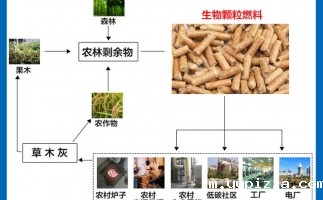 木屑颗粒机设备向着循环加工利用的脚步前进