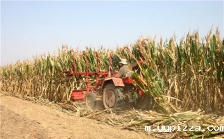 生物质颗粒机设备成型燃料研究现状及进展