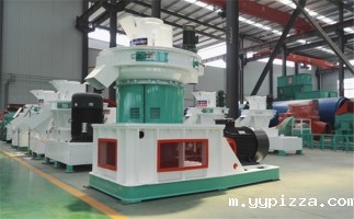 山东华体汇官网app入口 喜迎女神节