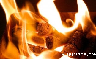 生物质燃料直接燃烧和生物质颗粒机设备加工的成型颗粒燃料的燃烧过程分析