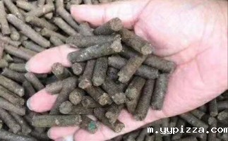 水果渣越来越受欢迎，因为它的出现—生物质颗粒机设备