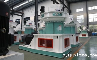 锯末颗粒机颗粒生产中燃料燃烧的过程