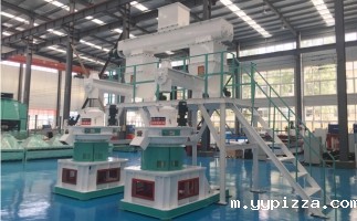 木屑颗粒机多少钱一台?建颗粒厂大约多少钱？