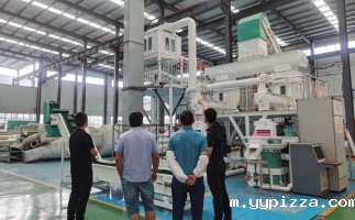 端午佳节，欢迎各地朋友来山东华体汇官网app入口颗粒机厂家参观考察