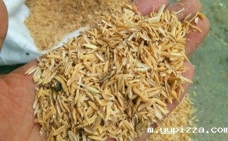 稻壳颗粒机 使稻壳变身“压缩煤”