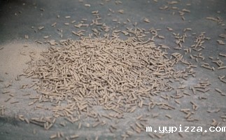 【揭秘】松木锯末颗粒燃料的八大优点终于被揭示了