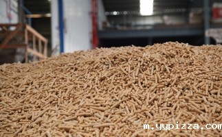 清洁能源怎能少了锯末颗粒机生物质燃料