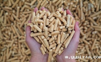 天然气和锯末颗粒燃料市场竞争力分析