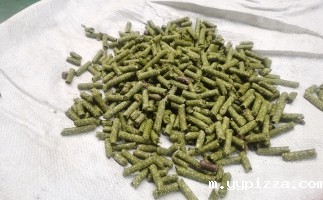 锯末颗粒一吨能赚多少？颗粒机厂家给你算了一笔账