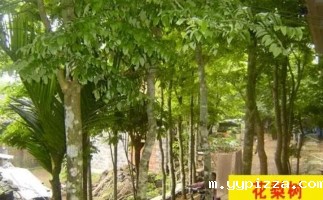 红花梨下脚料千万别再丢了，都是宝啊