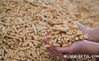 生物质燃料分类说明