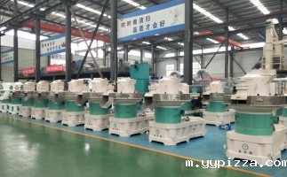 锯末颗粒机的定期检查和维护是避免故障的保证